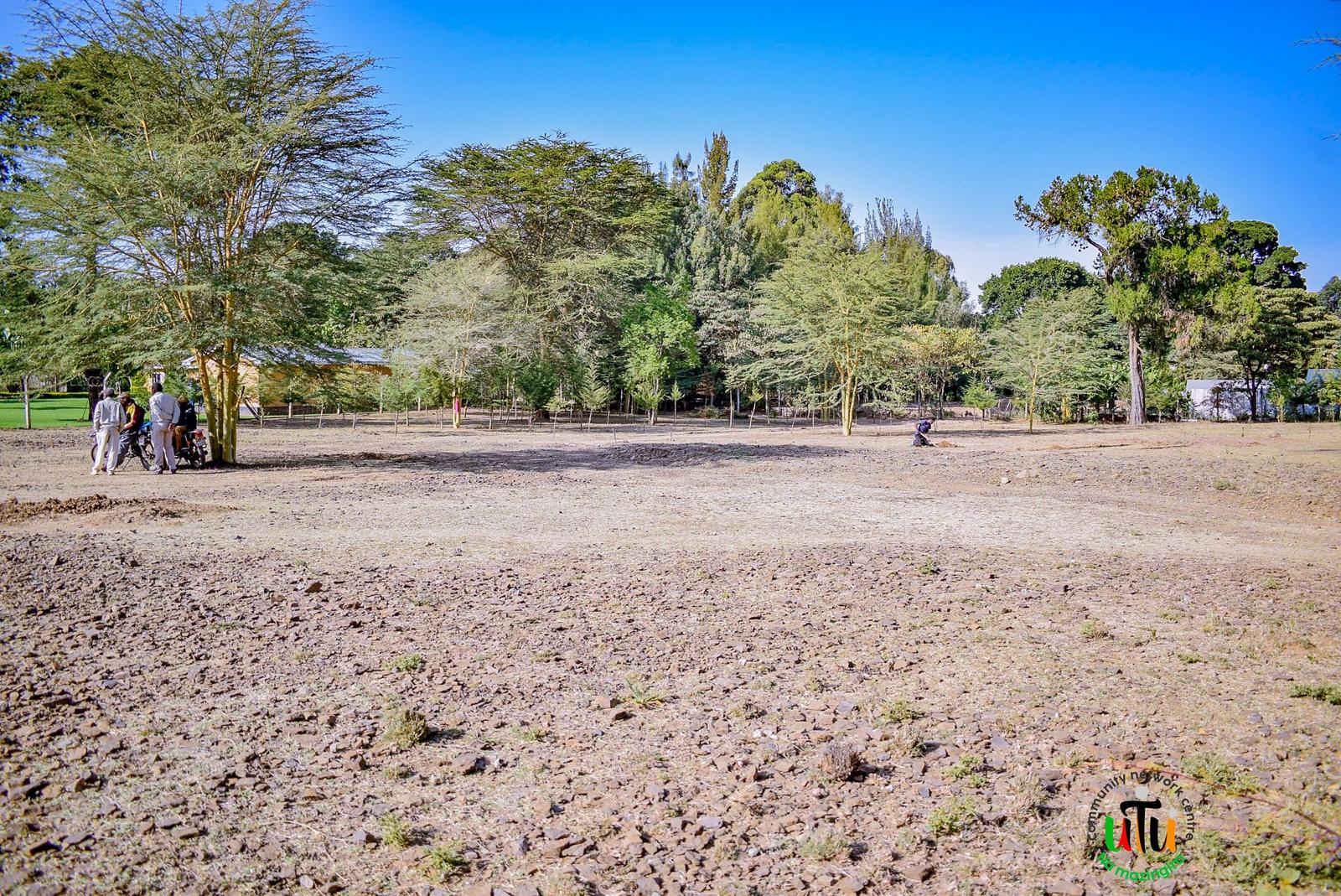 The bare, sun-hardened grounds selected as the first restoration site