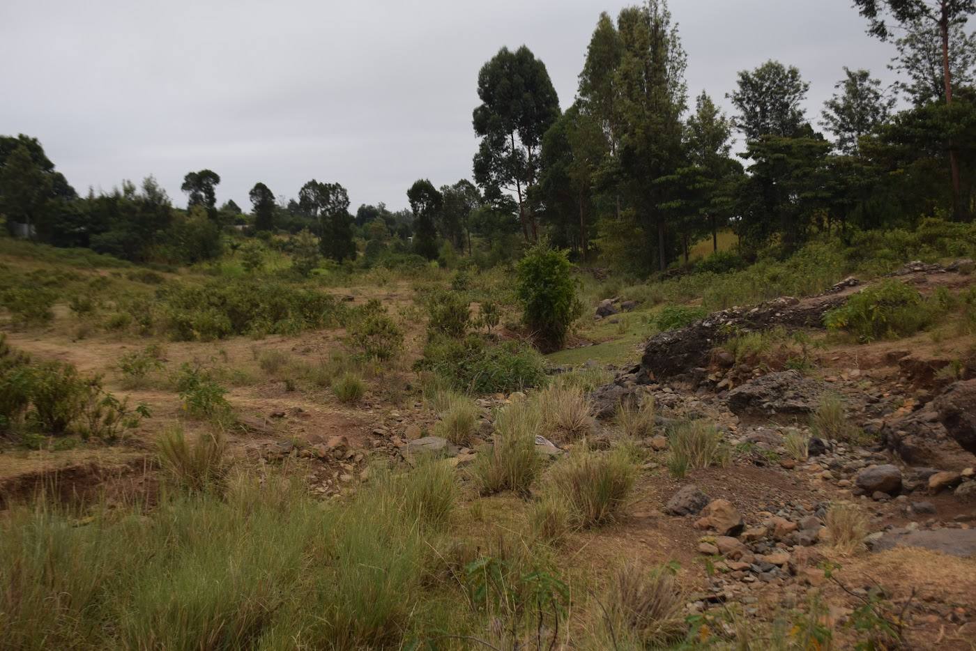Murangai catchment public forum