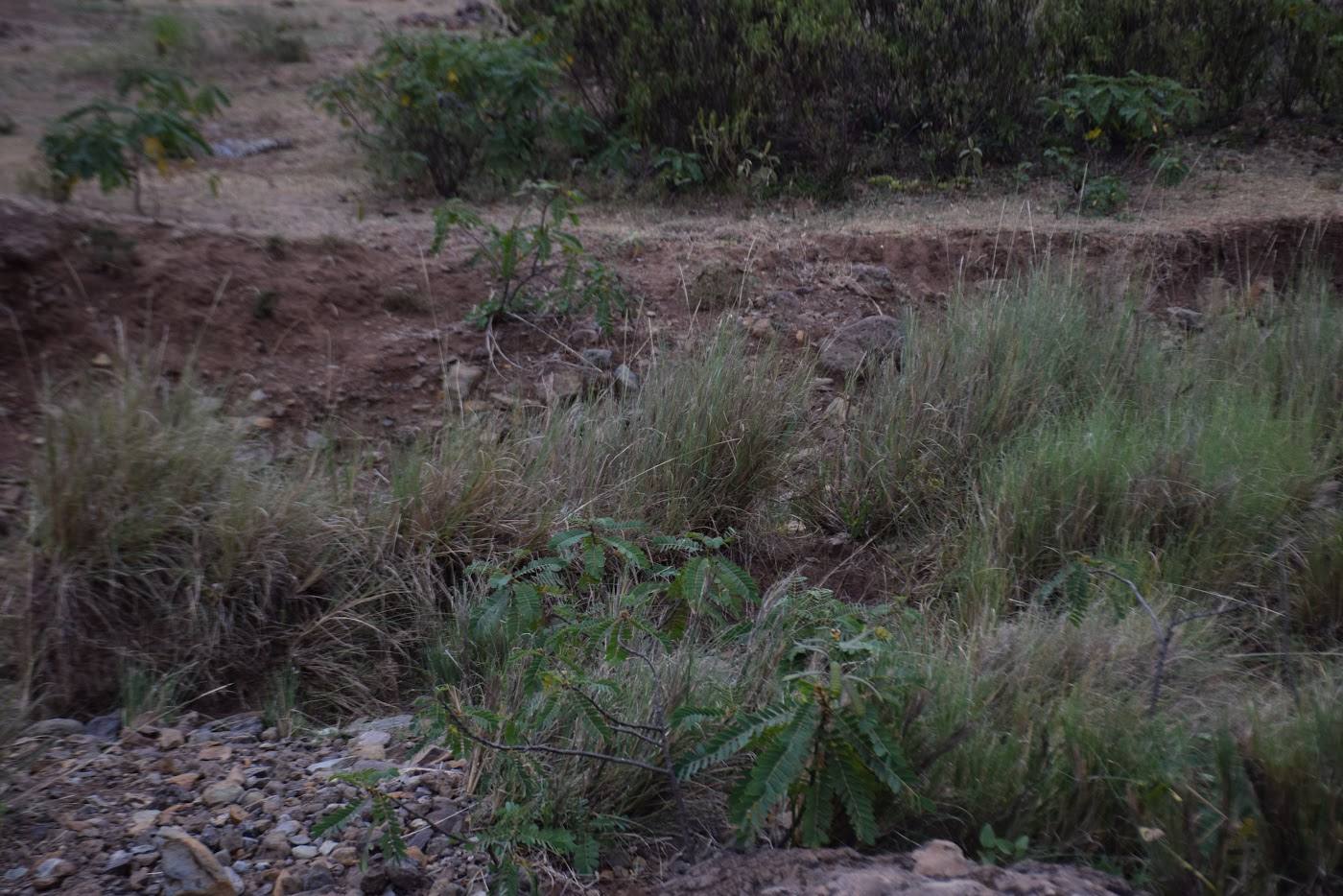 A community researcher documenting conditions at the site